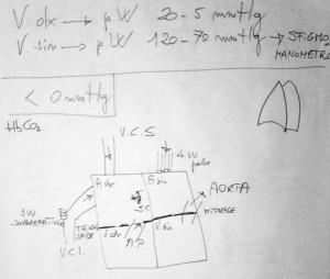 schema delle 4 camere cardiache con affluenti, valvole ed effluenti